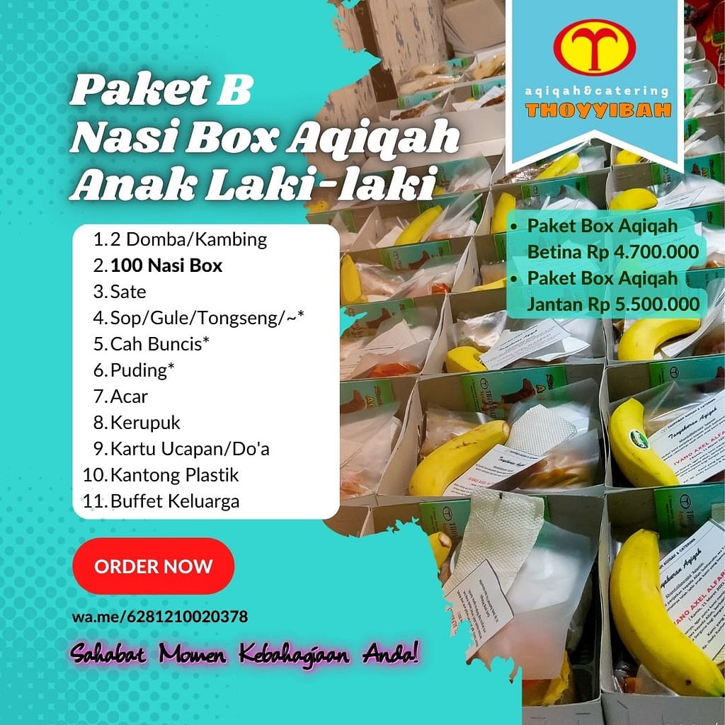nasi kebuli box aqiqah paket b 100 box untuk anak lelaki